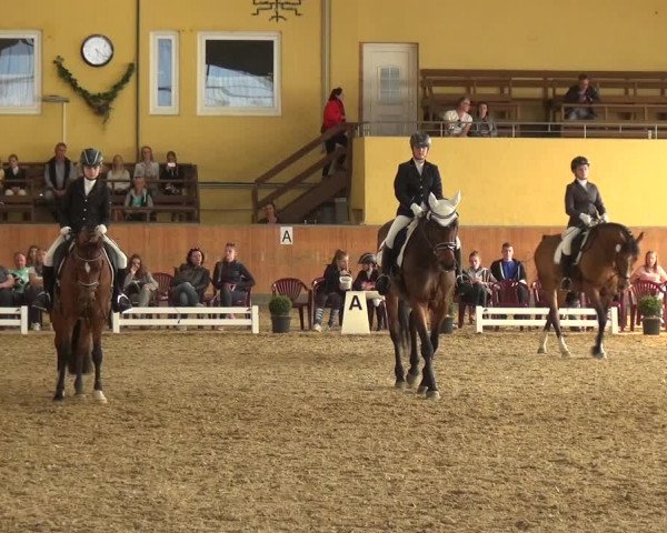 Reitturnier Frechen-Grefrath - Sonnenhof 2018