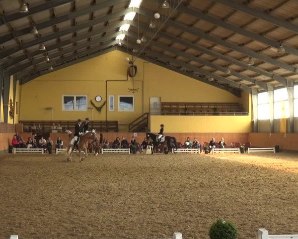 Reitturnier Frechen-Grefrath - Sonnenhof 2018
