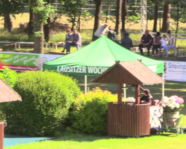 Reitturnier Cottbus-Sielow 2018