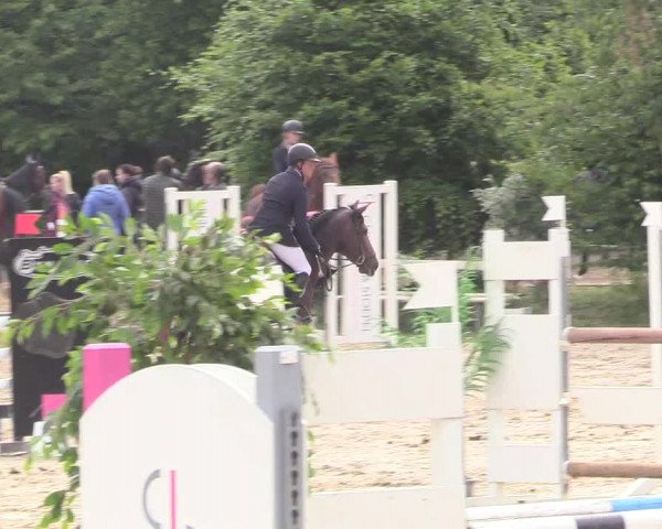 Pfingssturnier Bochum-Nord 2018