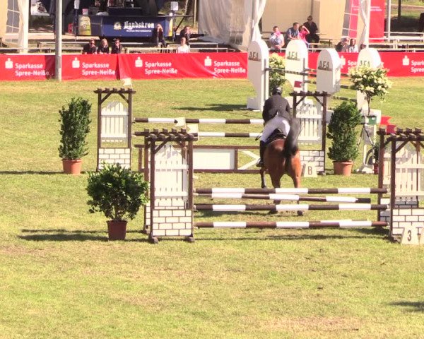 Reitturnier Cottbus-Sielow 2018