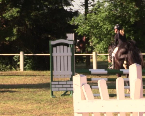 Reitturnier Wustrow 2018