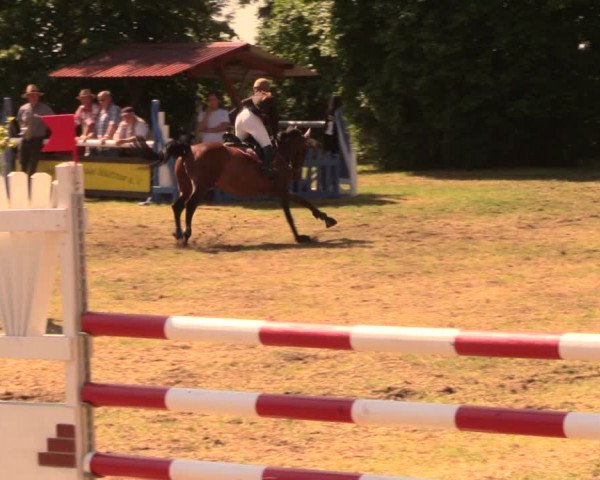 Reitturnier Wustrow 2018