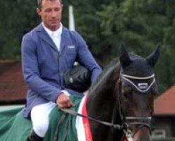 stallion Pikeur Cole Porter (Westphalian, 2005, from Cornet Obolensky)