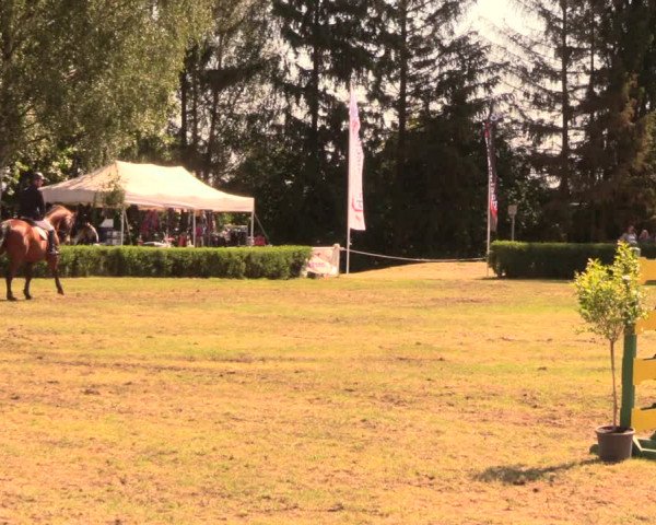 Reitturnier Wustrow 2018