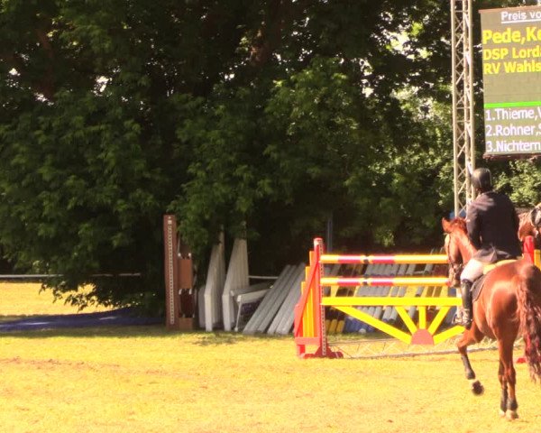 Reitturnier Wustrow 2018