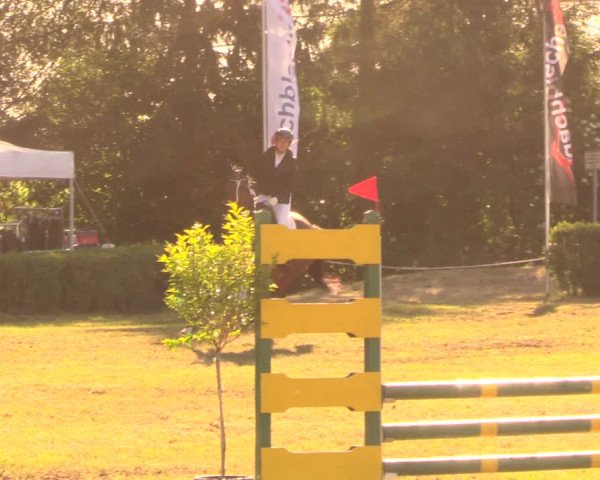 Reitturnier Wustrow 2018