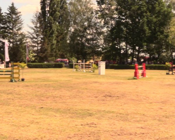 Reitturnier Wustrow 2018