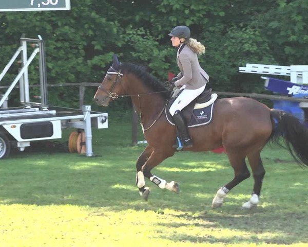 Equestrian Show Jettingen 2018
