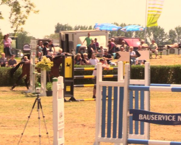 Reitturnier Wustrow 2018