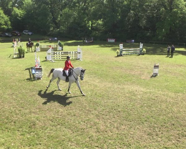 Reitturnier Jettingen 2018