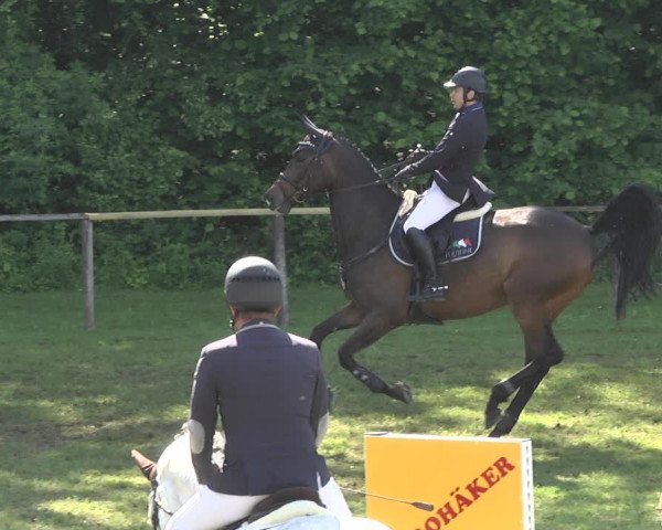 Reitturnier Jettingen 2018