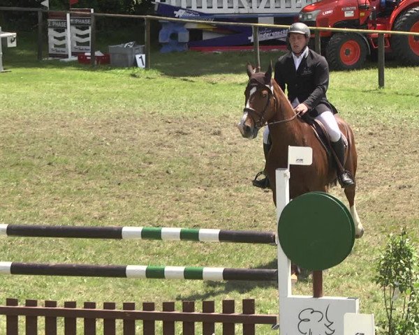 Reitturnier Jettingen 2018