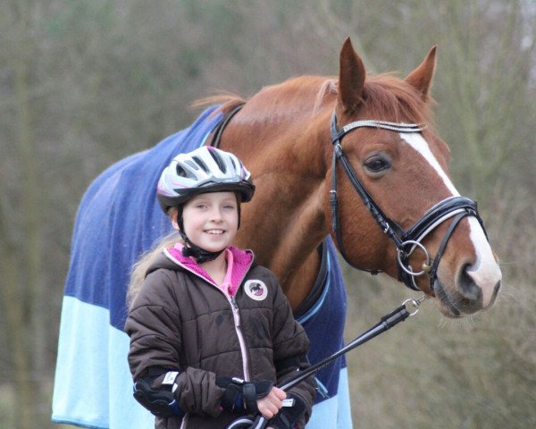 dressage horse Harlekin R (Hanoverian, 2010, from High Crusador)