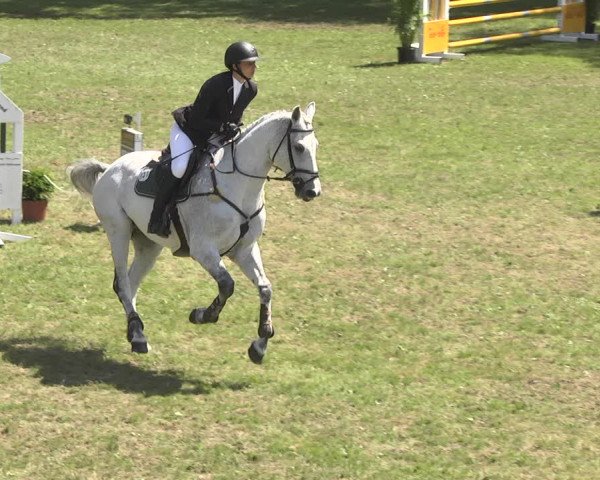 Reitturnier Jettingen 2018