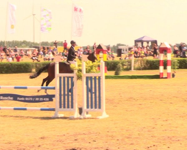 Reitturnier Wustrow 2018