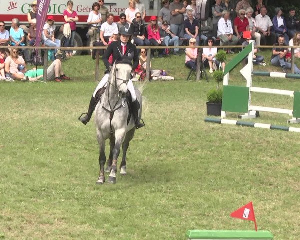 Reitturnier Jettingen 2018