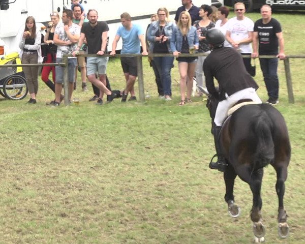 Reitturnier Jettingen 2018