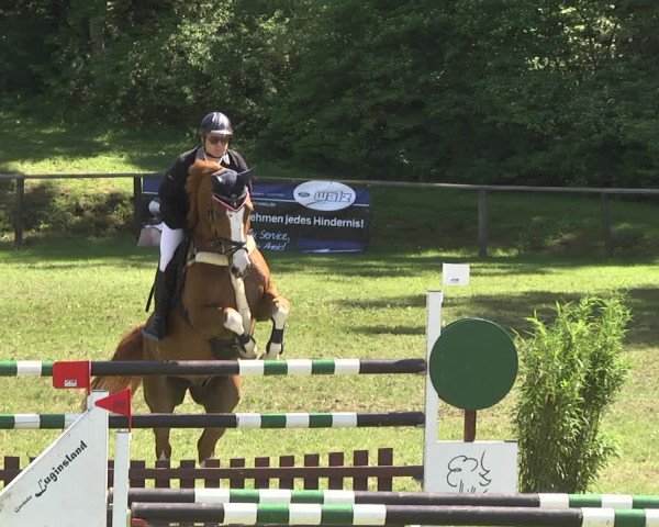 Reitturnier Jettingen 2018