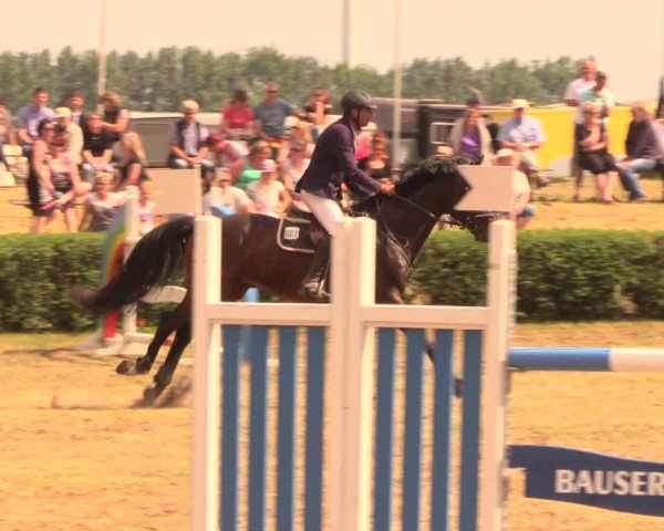 Reitturnier Wustrow 2018
