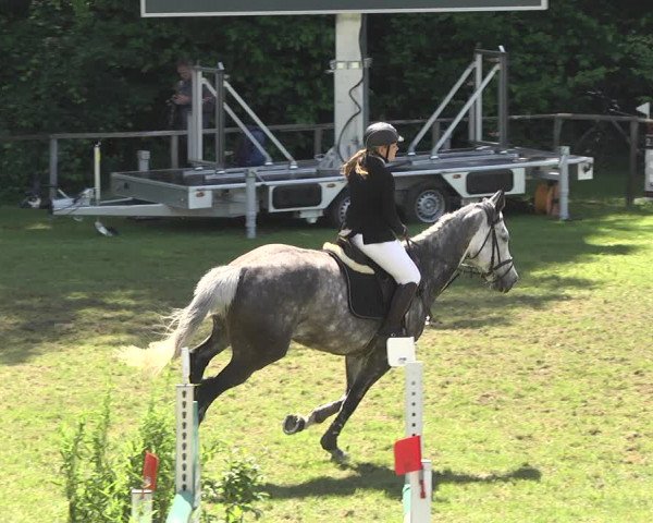 Reitturnier Jettingen 2018
