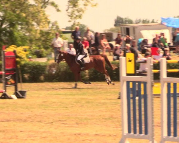 Reitturnier Wustrow 2018