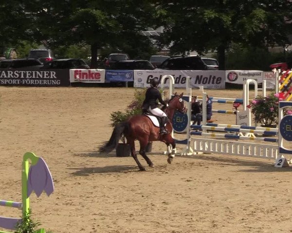 Reitturnier Iserlohn-Kalthof 2018