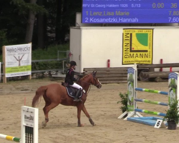 Reitturnier Iserlohn-Kalthof 2018