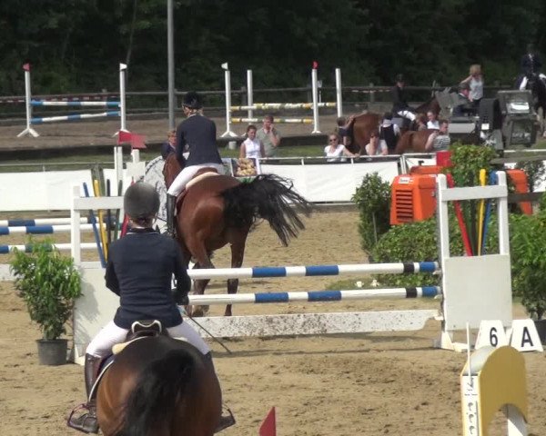 Reitturnier Frechen-Grefrath - Sonnenhof 2018