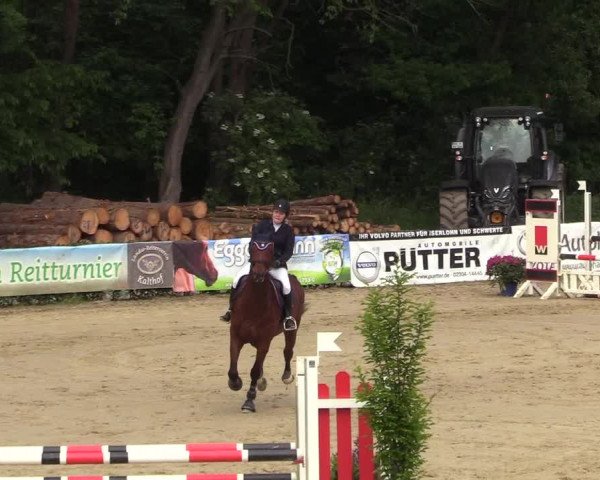Reitturnier Iserlohn-Kalthof 2018
