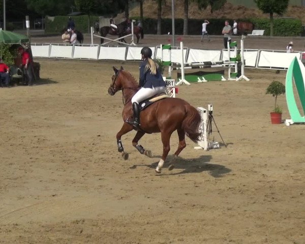 Reitturnier Frechen-Grefrath - Sonnenhof 2018