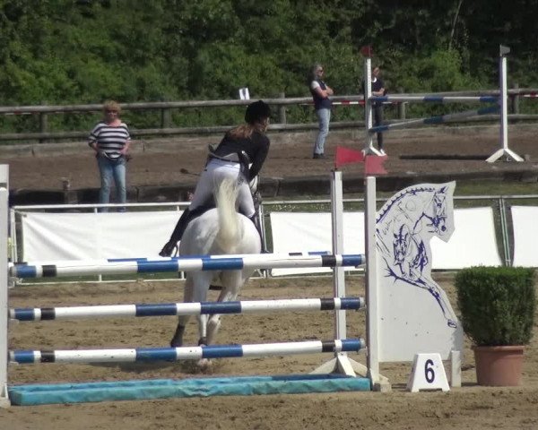 Reitturnier Frechen-Grefrath - Sonnenhof 2018