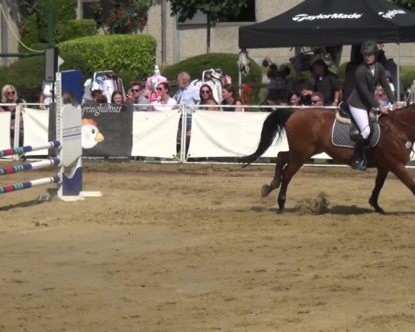 Reitturnier Frechen-Grefrath - Sonnenhof 2018