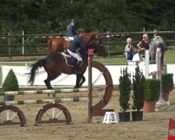 Reitturnier Frechen-Grefrath - Sonnenhof 2018