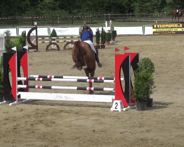 Reitturnier Frechen-Grefrath - Sonnenhof 2018