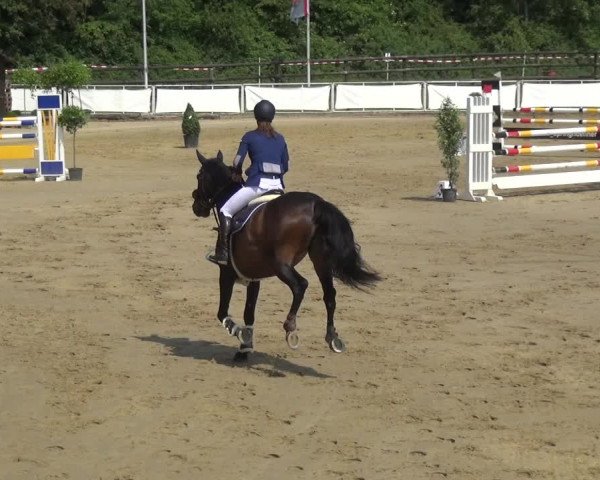 Reitturnier Frechen-Grefrath - Sonnenhof 2018