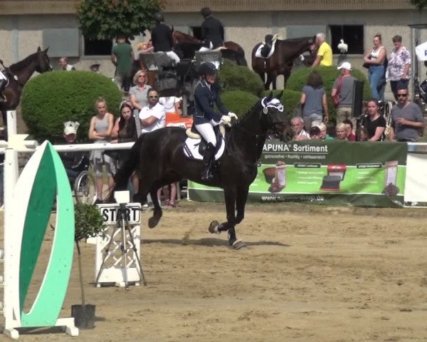 Reitturnier Frechen-Grefrath - Sonnenhof 2018