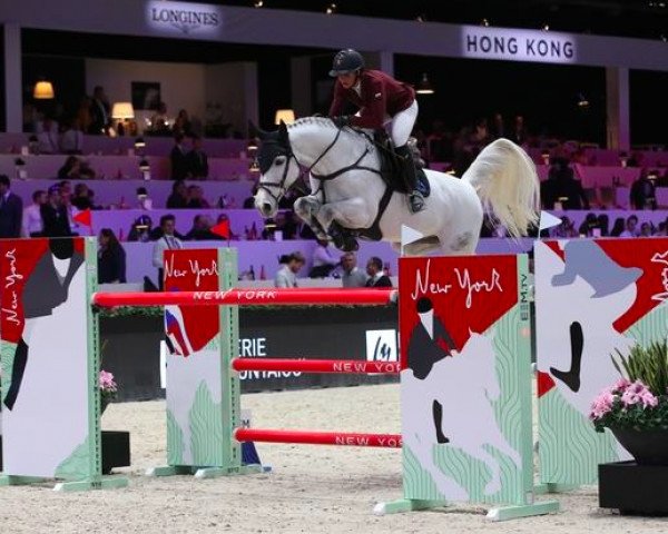 Springpferd Clever Pkz (Westfale, 2005, von Cornet Obolensky)