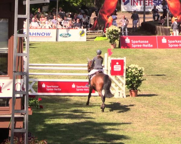 Reitturnier Cottbus-Sielow 2018