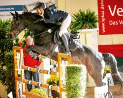 jumper Con Emma (Hanoverian, 2007, from Contendro I)