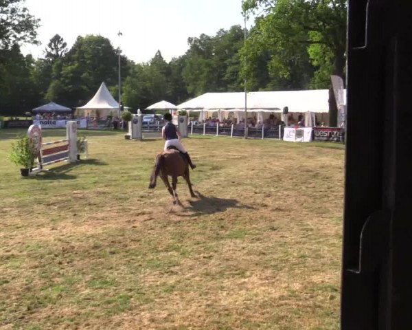 Pfingstturnier Borken 2018