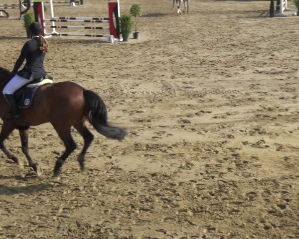 Reitturnier Frechen-Grefrath - Sonnenhof 2018