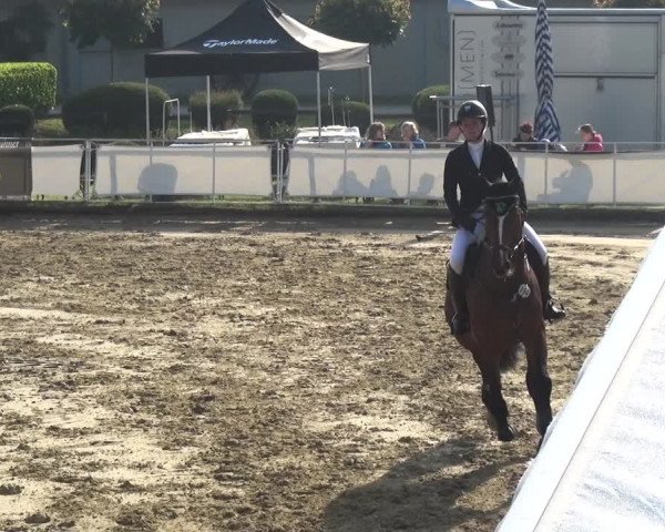 Reitturnier Frechen-Grefrath - Sonnenhof 2018