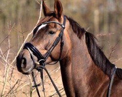 jumper Ladina 47 (Rhinelander, 2006, from Laurentianer)