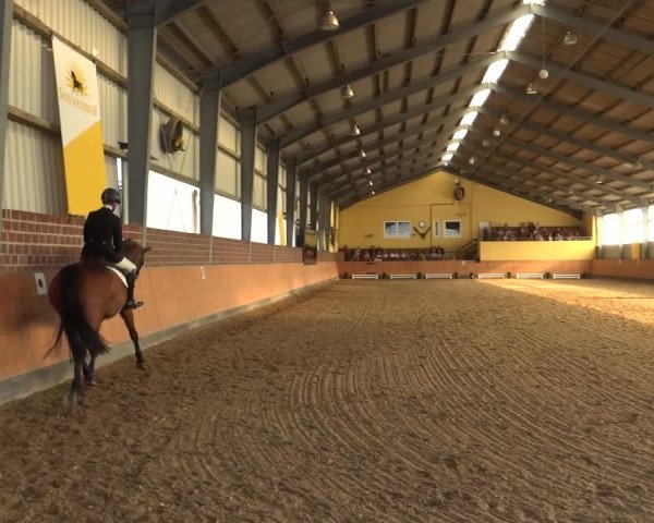 Reitturnier Frechen-Grefrath - Sonnenhof 2018