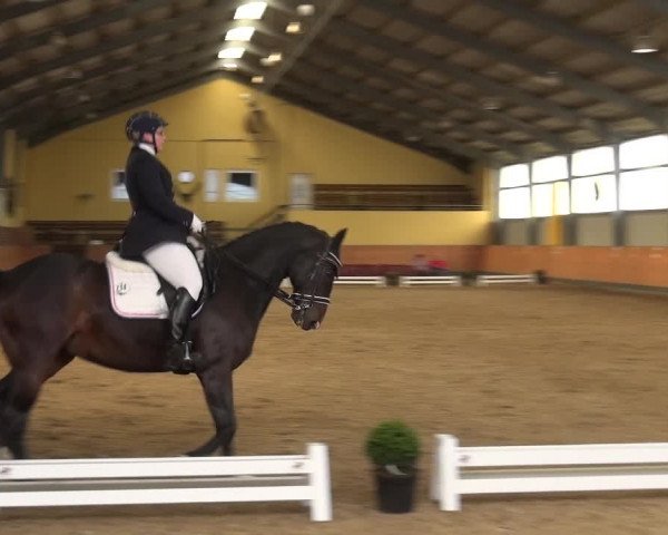 Reitturnier Frechen-Grefrath - Sonnenhof 2018