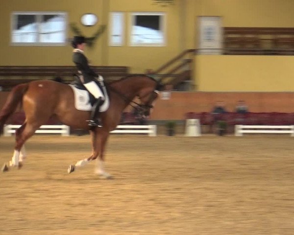 Reitturnier Frechen-Grefrath - Sonnenhof 2018