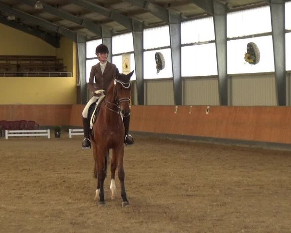 Reitturnier Frechen-Grefrath - Sonnenhof 2018