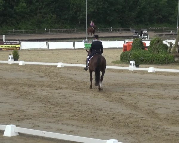 Reitturnier Frechen-Grefrath - Sonnenhof 2018