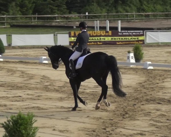 Reitturnier Frechen-Grefrath - Sonnenhof 2018